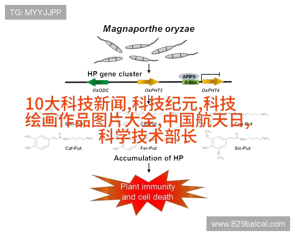 第一财经谈股论金直播最新股市行情解读